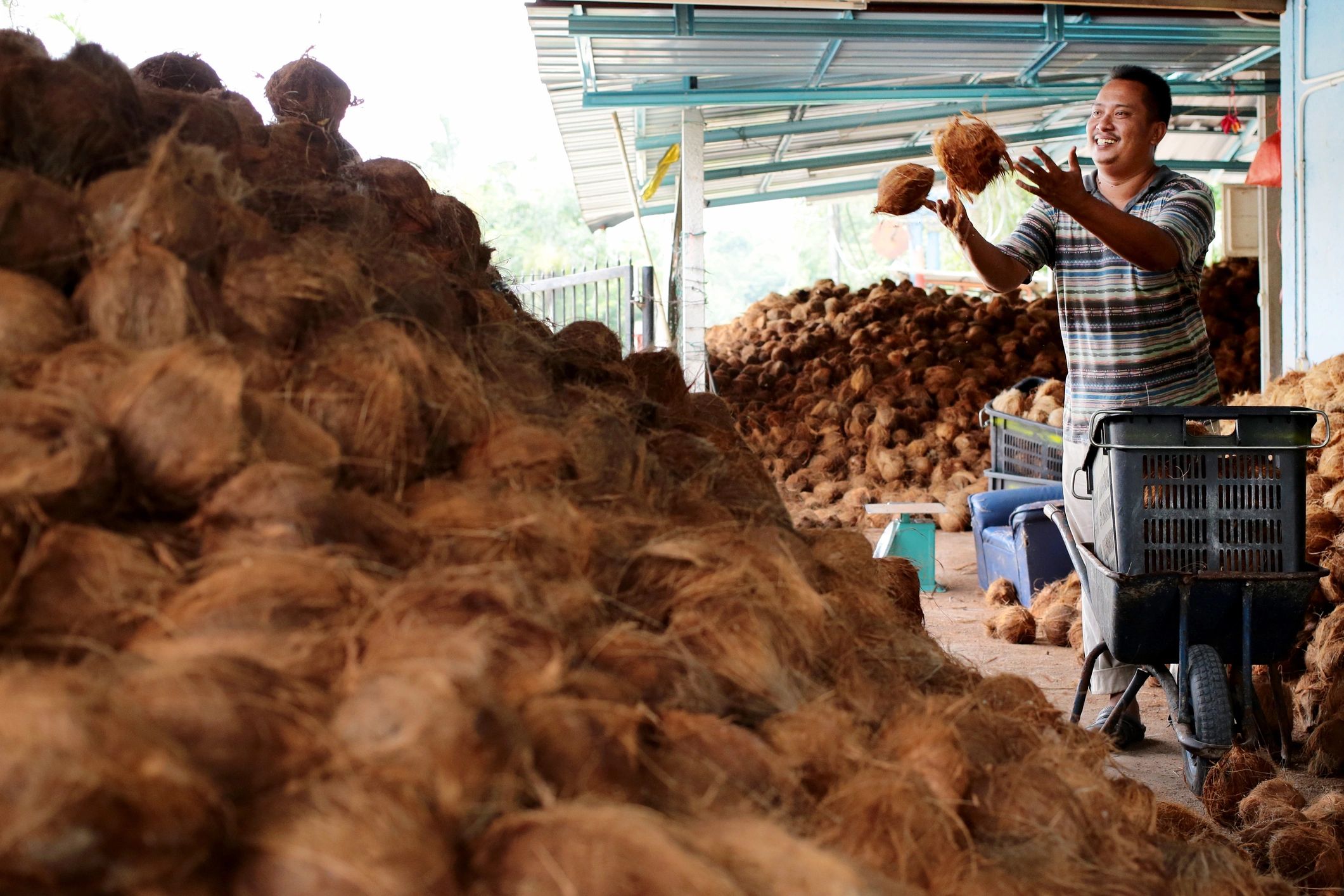 coconut husk recycling agriculture eco-friendly