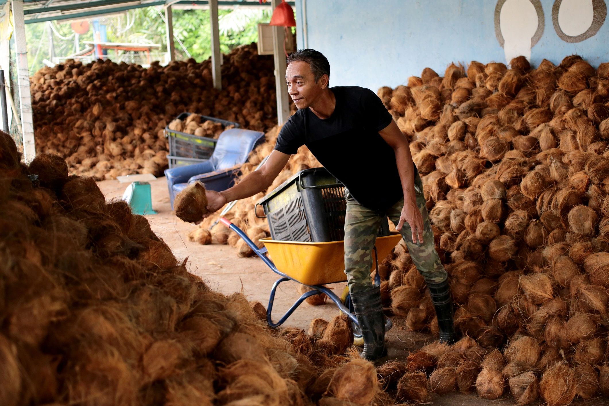 coconut husk recycling facility