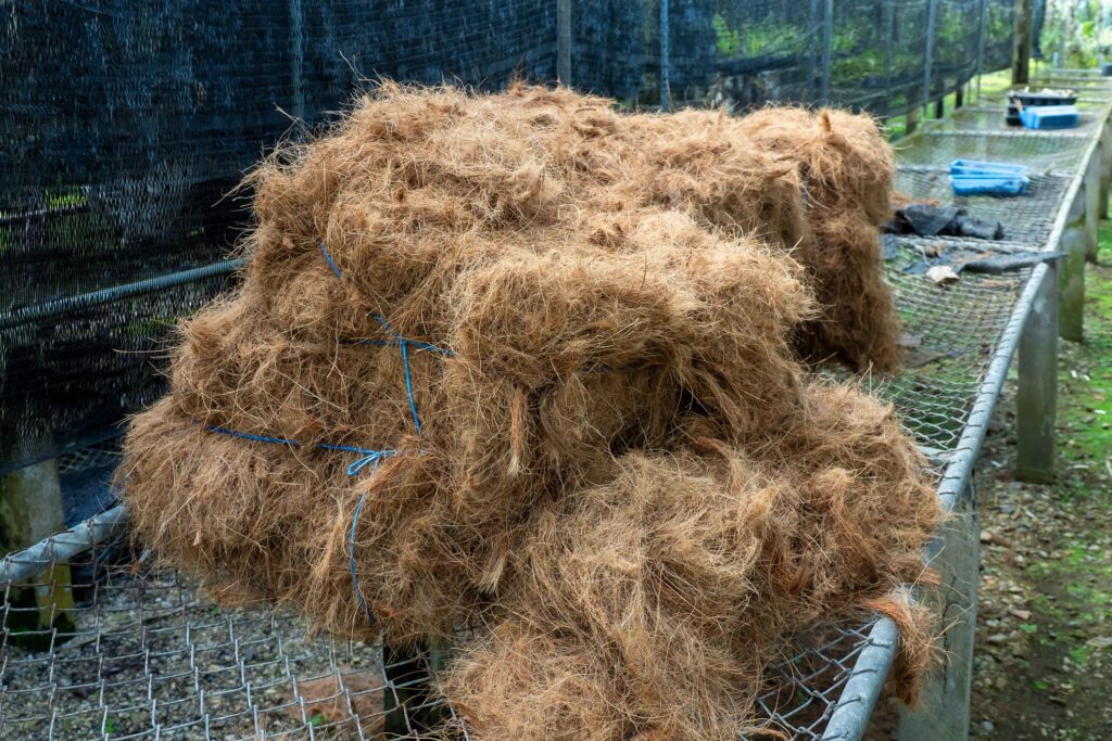 coir processing factory