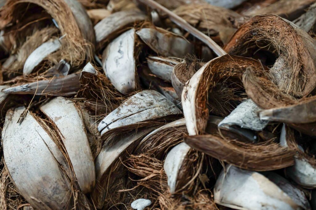coconut husk recycling eco-friendly agriculture