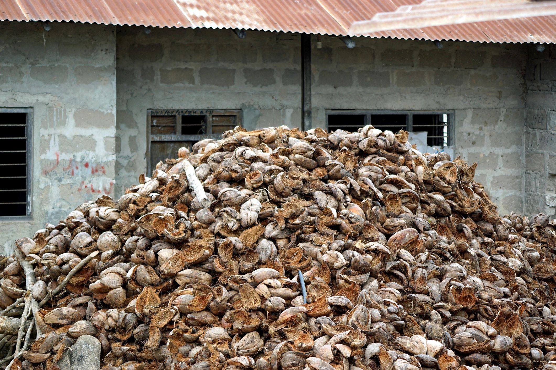 coconut husk processing facility