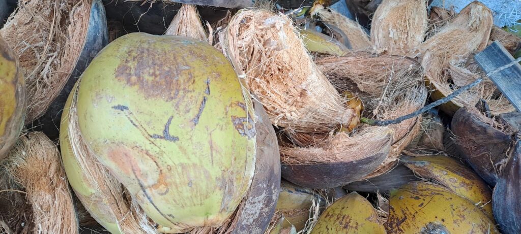 coconut husk processing facility