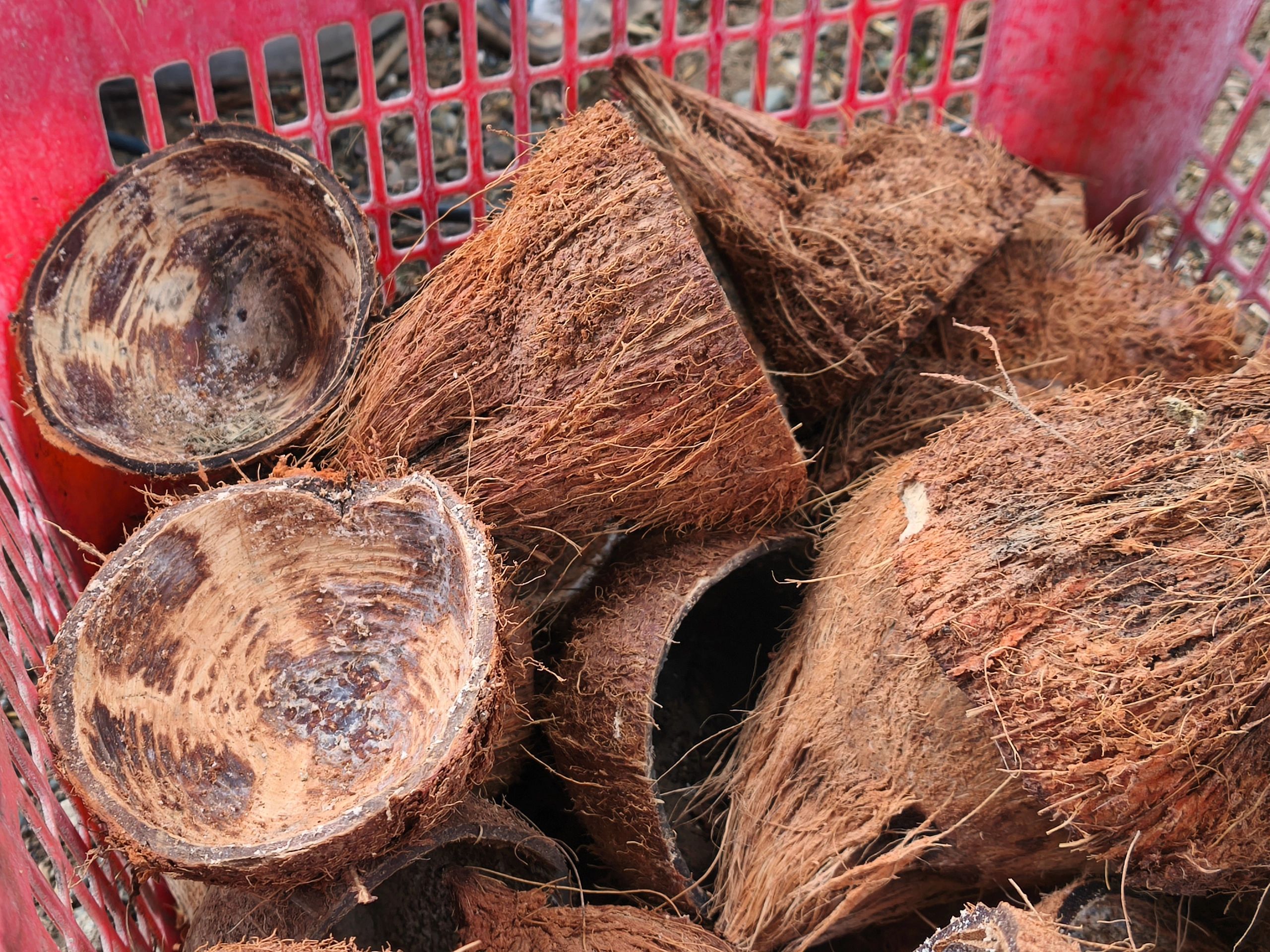 coco coir products agriculture eco-friendly
