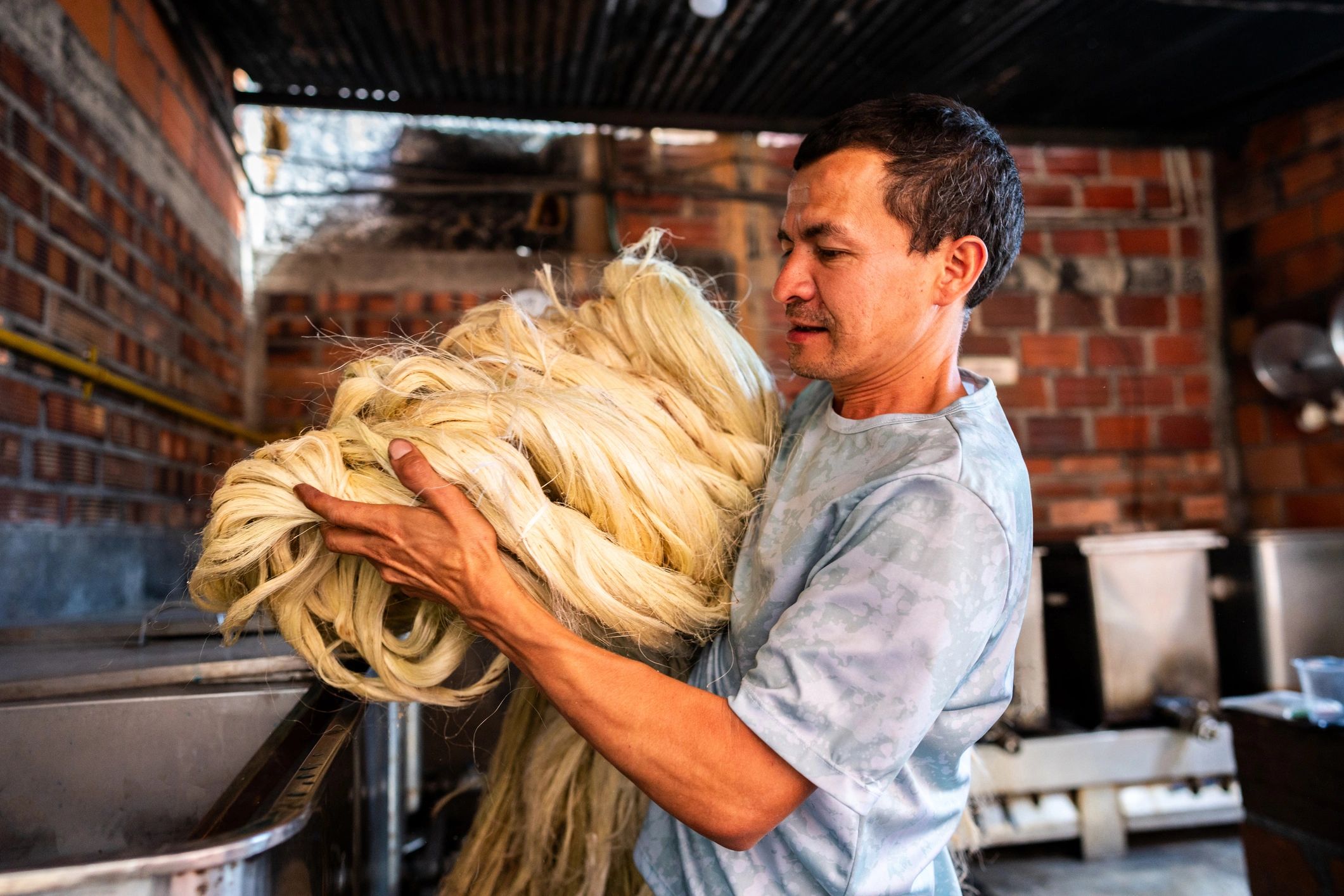 coir processing factory