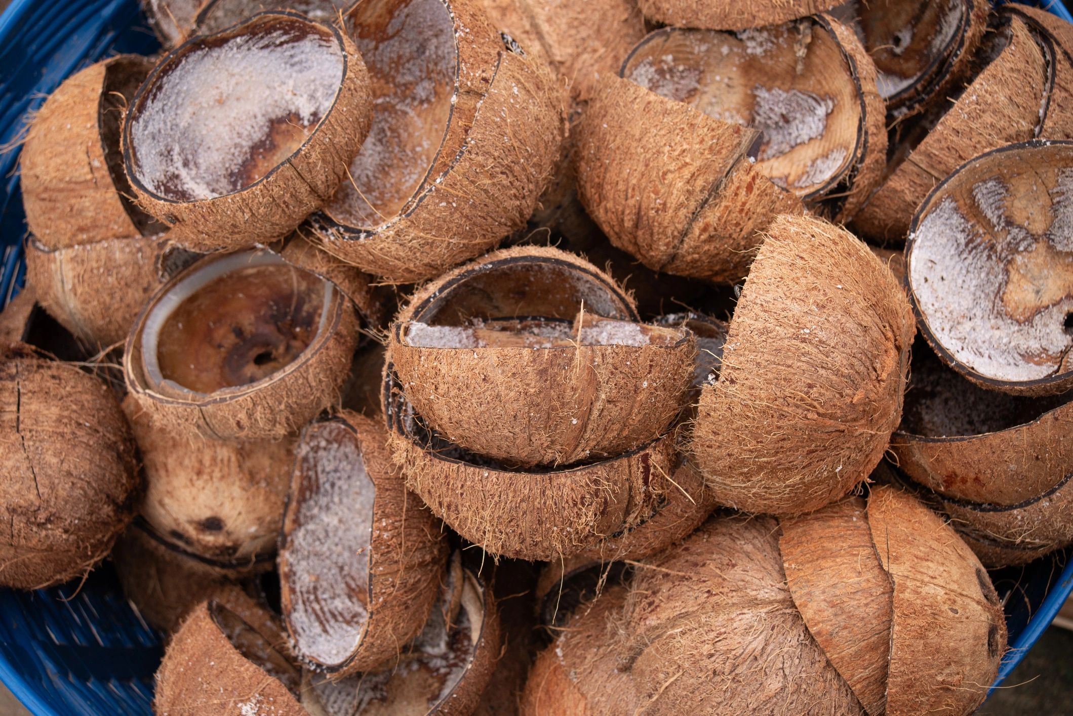 coconut husk recycling eco-friendly agriculture