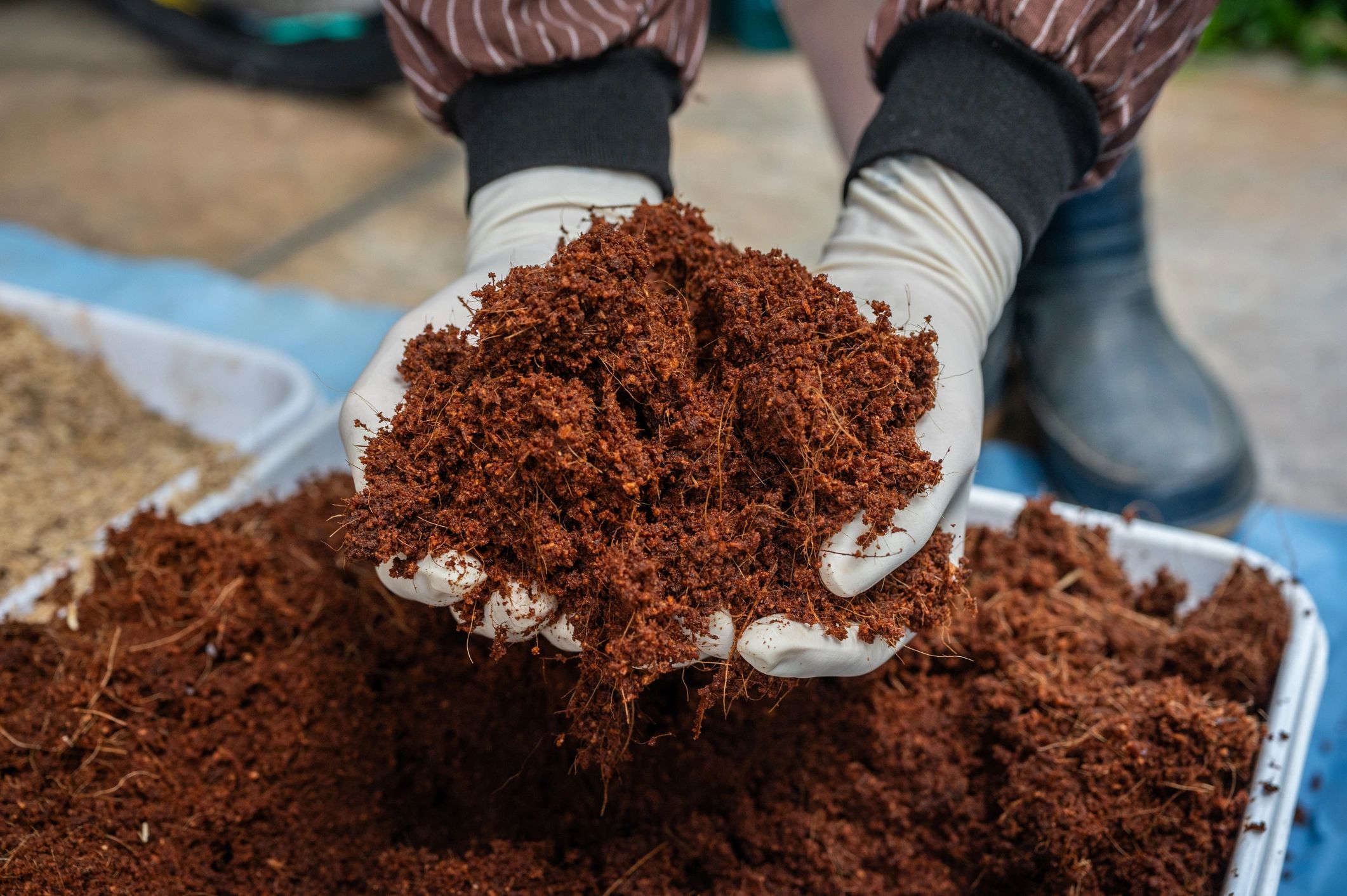 sustainable farming coconut coir