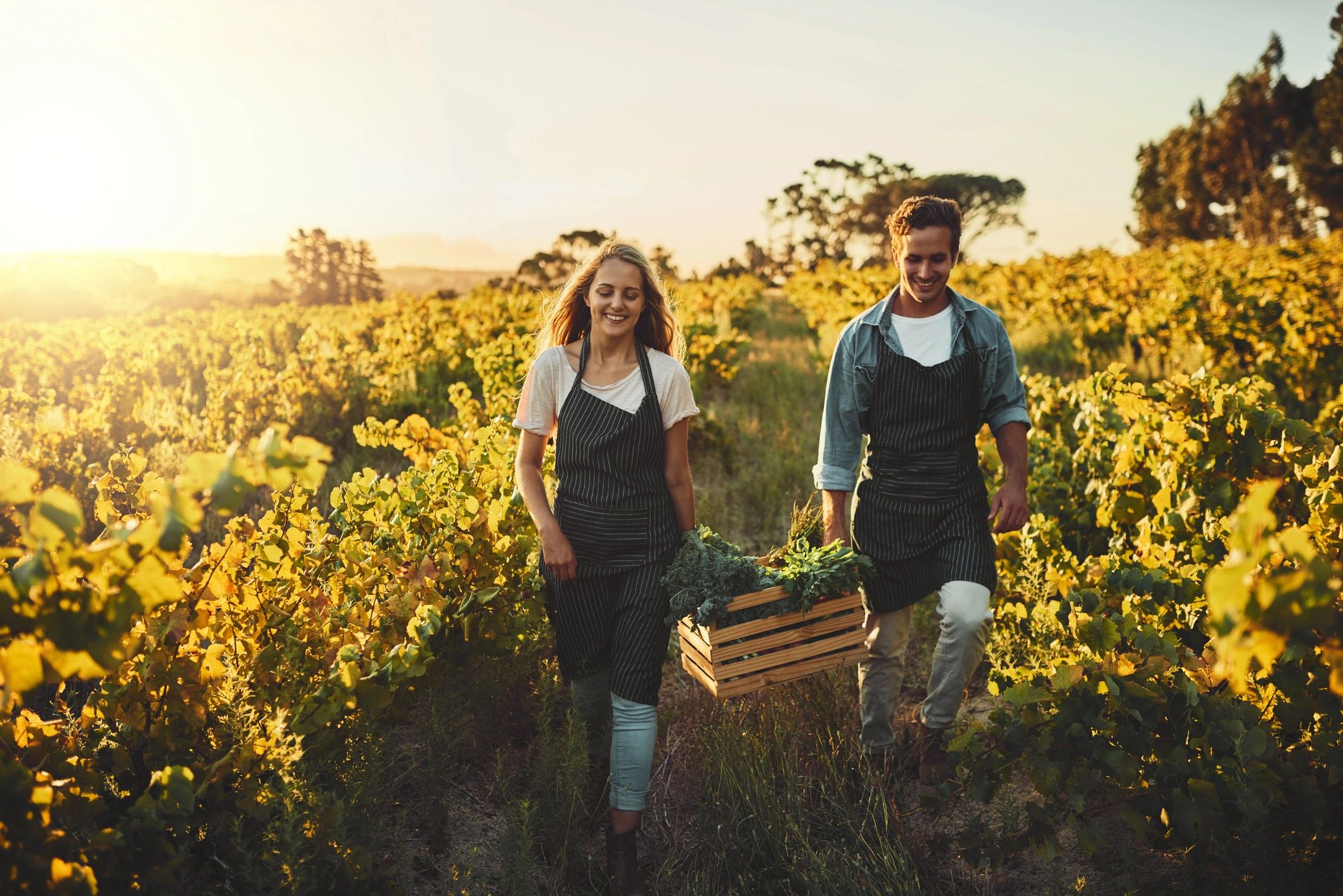 farmers commercial agriculture eco-friendly